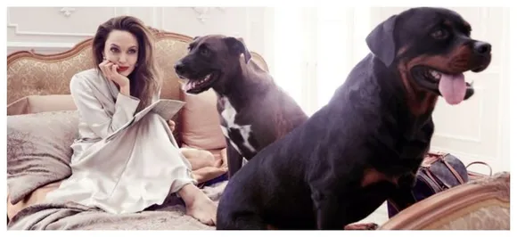 Angelina Jolie sides with 'Wicked women', hereâ€™s why 