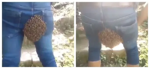 Man walks around with beehive on his backside, Kiren Rijiju calls it an â€˜unlikely placeâ€™ for bees, WATCH