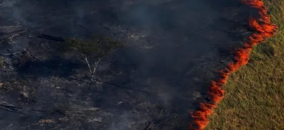 Amazon Fires: Why are Earth's lungs burning?