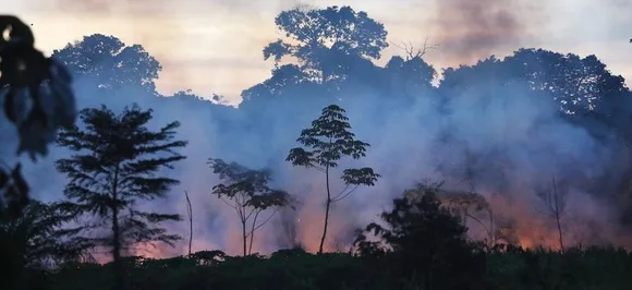 'We stand ready to assist', Donald Trump offers help to Brazil with Amazon rainforest fires