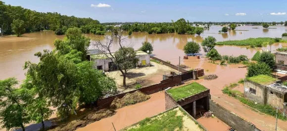 Pakistan's dirty trick, floods Sutlej with poisonous water from leather tanneries 
