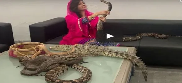 Bizzare! Pakistani Singer Rabi Pirzada Threaten Indians, PM Modi With Deadly Snakes; WATCH Video