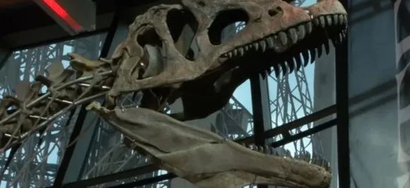 New Dinosaur Species Discovered In Japan Which Roamed Earth Over 65 Million Years Ago