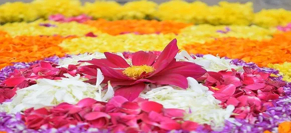 Happy Onam 2019: Best Wishes, Messages On Kerala's Harvest Festival