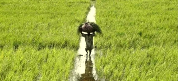What Is PM-KMY? Pradhan Mantri Kisan Maandhan Yojana - Eligibility, Premium, Pension And How To Apply