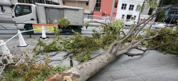 Almost 80,000 Homes Still Without Power A Week After Japan Typhoon