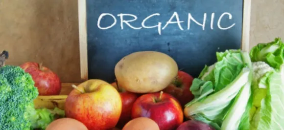 How Safe Are The Organic Foods For Children?