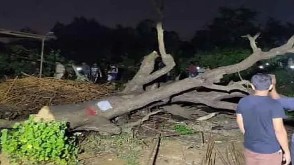 Supreme Court Special Bench To Hear Aarey Colony Case Today,  Protesters Get Bail