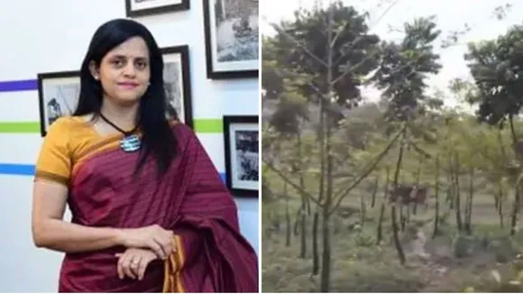 'Sometimes Destruction Becomes Inevitable': Mumbai Metro Defends Aarey Move