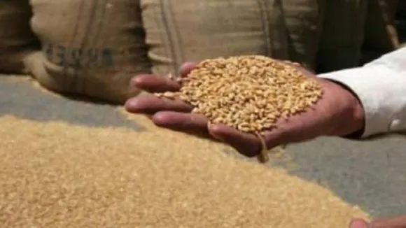 India Slips To 102nd Rank In Global Hunger Report 2019, Below Pakistan And Bangladesh