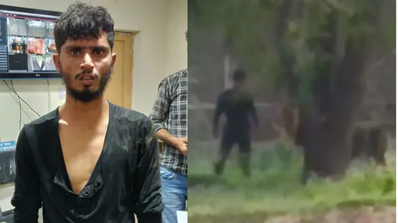 Watch: Man Jumps Into Lion Enclosure At Delhi Zoo, Sits Down To 'Chat' With Big Beast