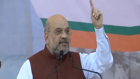 Maharashtra Assembly Elections: Pawar Sahab Has Got Cataract In Greed For Votes, Says Amit Shah 