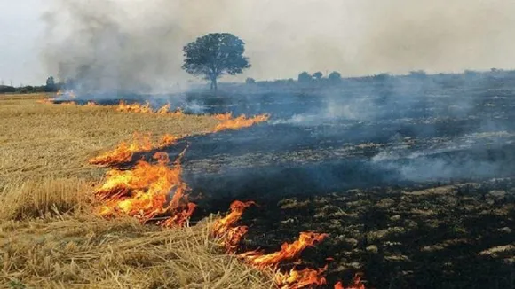 CII Adopts 100 Villages In Punjab, Haryana To Mitigate Pollution Caused By Stubble Burning