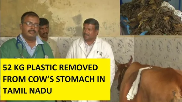 Tamil Nadu: Surgeons Remove 52 KG Plastic From Cowâ€™s Stomach In 5-Hour-Long Operation