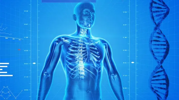 White, Brown Fat Cells Send Different Signals To The Body, Claims Study