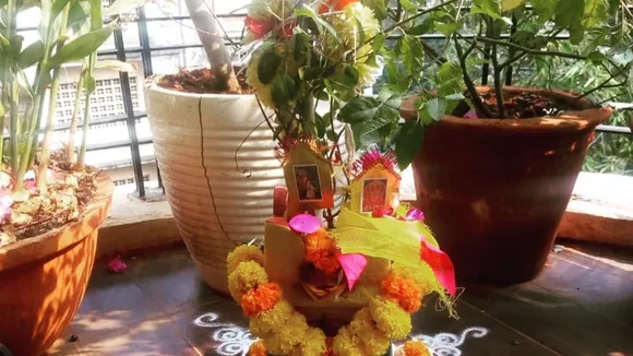 Tulsi Vivah: Myth, Significance, Rituals Observed In This Hindu Festival