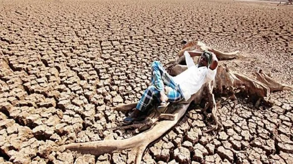 Rajasthan Declares 1,388 Villages In 4 Districts 'Drought-Affected'