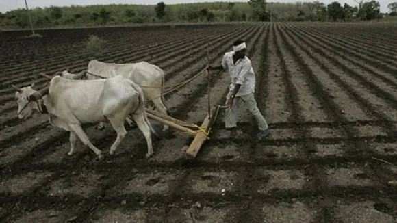 Soon, Radio Channel To Inform Maharashtra Farmers About Climate Change