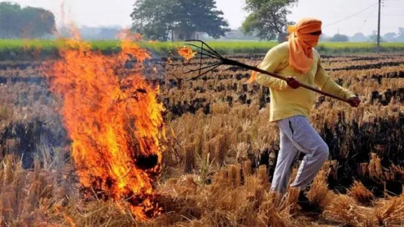 Hinduja Group Offers Help To Punjab In Tackling Stubble Burning 