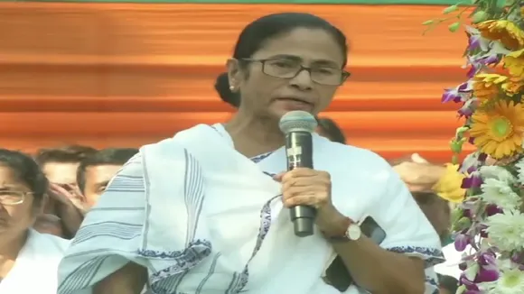 'Will Support Citizenship Amendment Bill If...': Mamata Banerjee