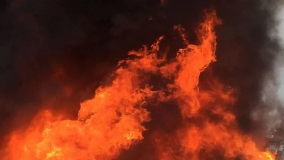 Fire Breaks Out In Delhiâ€™s Kirari Market, 8 Fire Tenders On Spot