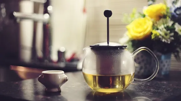  Green Tea Plant Compound May Help Fight TB: Study
