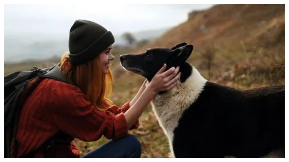 Busted! Dogs Actually Know When Youâ€™re Lying About How Many Snacks Youâ€™re Holding