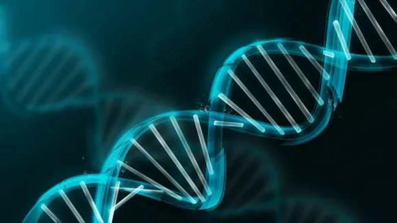 IIT-Hyderabad Researchers Unravel Protein That Repairs Damaged DNA