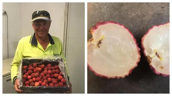 Australian Farmer Succeeds In Growing First Ever â€˜Seedless Lycheesâ€™