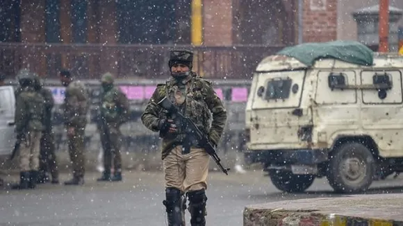 Concerned By Detentions, Restrictions On Internet: US After Foreign Envoys' Jammu And Kashmir Visit