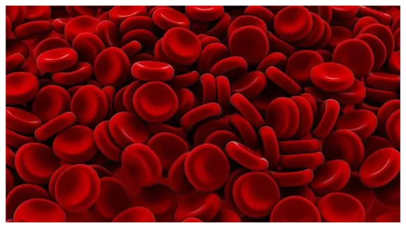Lower Levels Of Lymphocyte Blood Cells May Be Fatal: Study