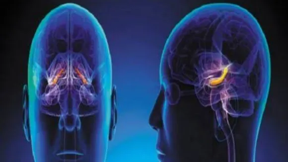 Blue Light May Help Heal Mild Traumatic Brain Injury, Says Study
