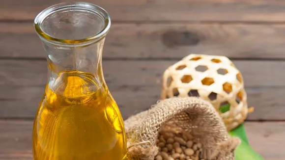 Is Soybean Oil Not Good For Brain? Find What A New Study Says