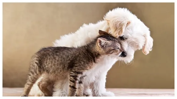 PETA Co-Founder Calls For A Ban Of The Term â€˜Petâ€™