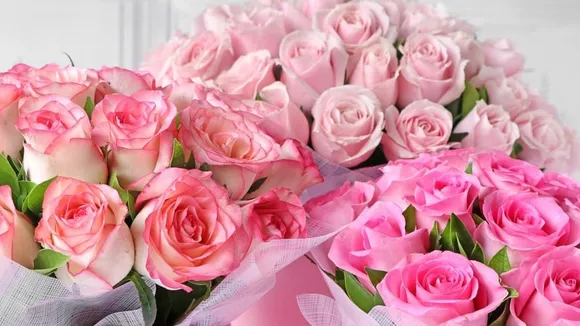 Rose Day
