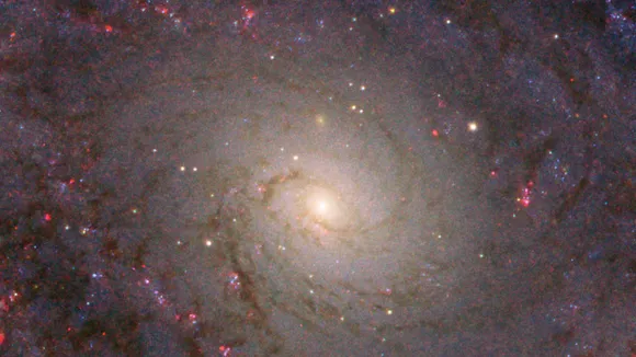 Grand Design Spiral Galaxy NGC 5364