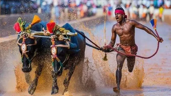 Usain Bolt Srinivasa Gowda