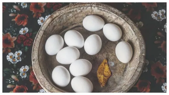 eggs