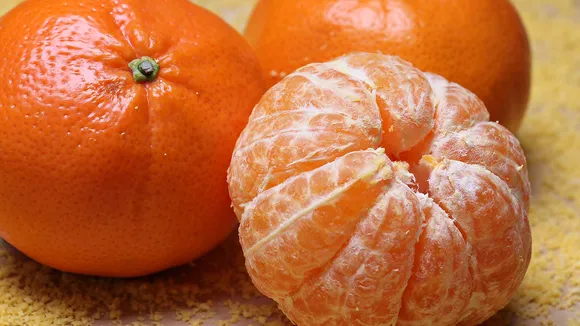 orangesmain1