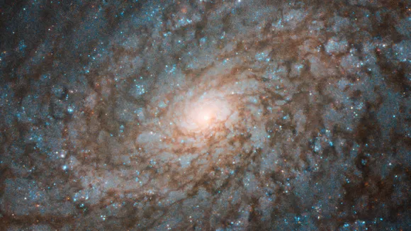 Fluffy galaxy NGC 4237
