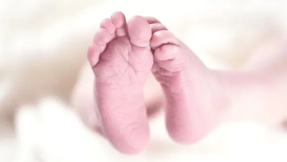 Baby coronavirus