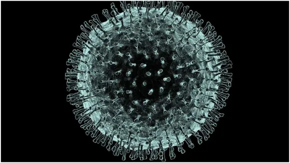Corona Virus