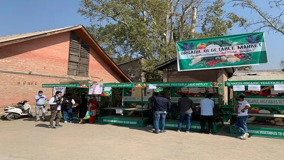 Organic Market