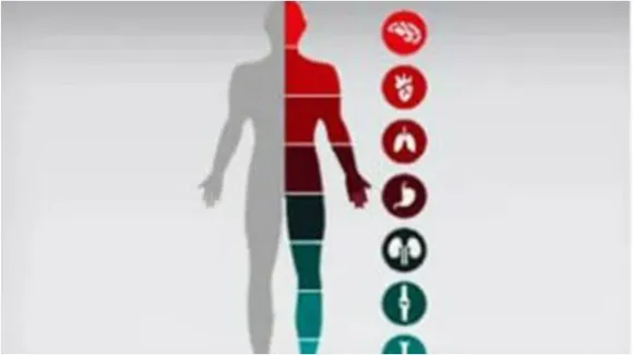 full body checkup