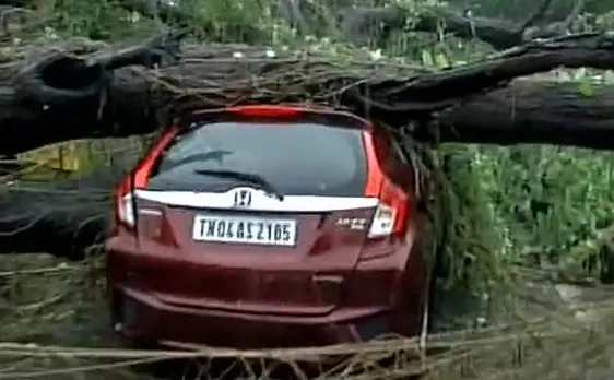 Cyclone Vardah wreaks havoc in Tamil Nadu: Watch in pictures