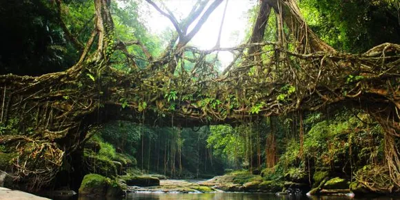 Meghalaya in Pics: Cleanliness guidelines for TOURIST planning to visit abode of clouds