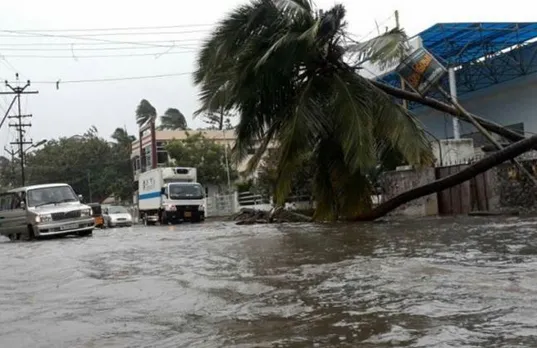 Cyclone Okchi continues to leave trail of destruction schools shut in Maharashtra rescue operation underway