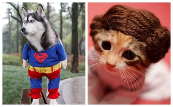 Halloween 2019: Fur-Babies That Are Winners In The Costume Game