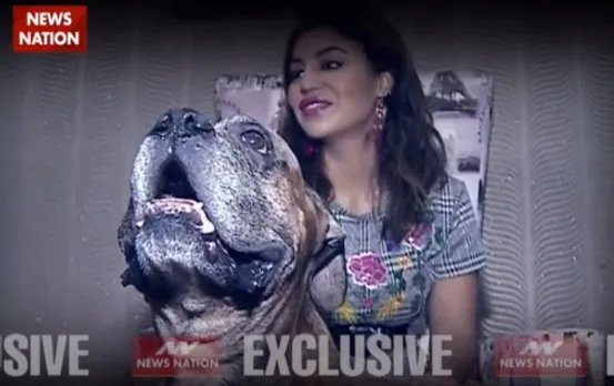 Debina Bonnerjee shares story behind his pet dog