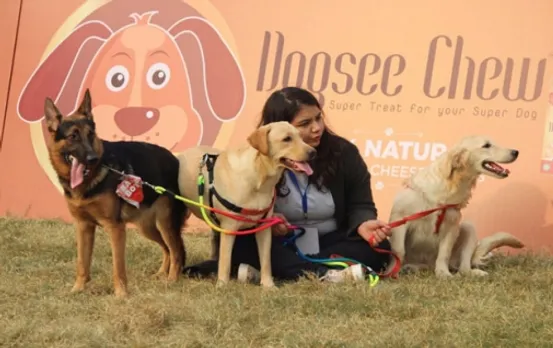 Pet fest organised at NSIC Okhla ground